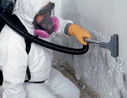 Why You Should Choose Our Mold Remediation Services in Ouray, CO